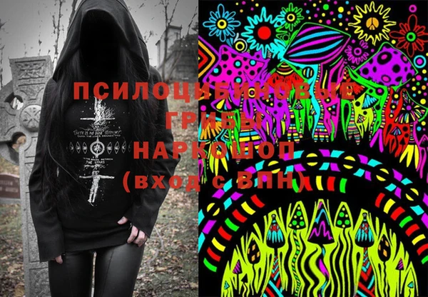 прущий лед Семёнов